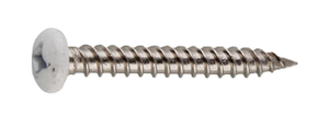 Stainless Steel Pan Head PH Drive Self Tapping Screws,DIN7981 with Painted Head